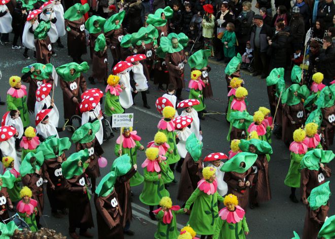 Imgenes del Carnaval  en La Rioja-2